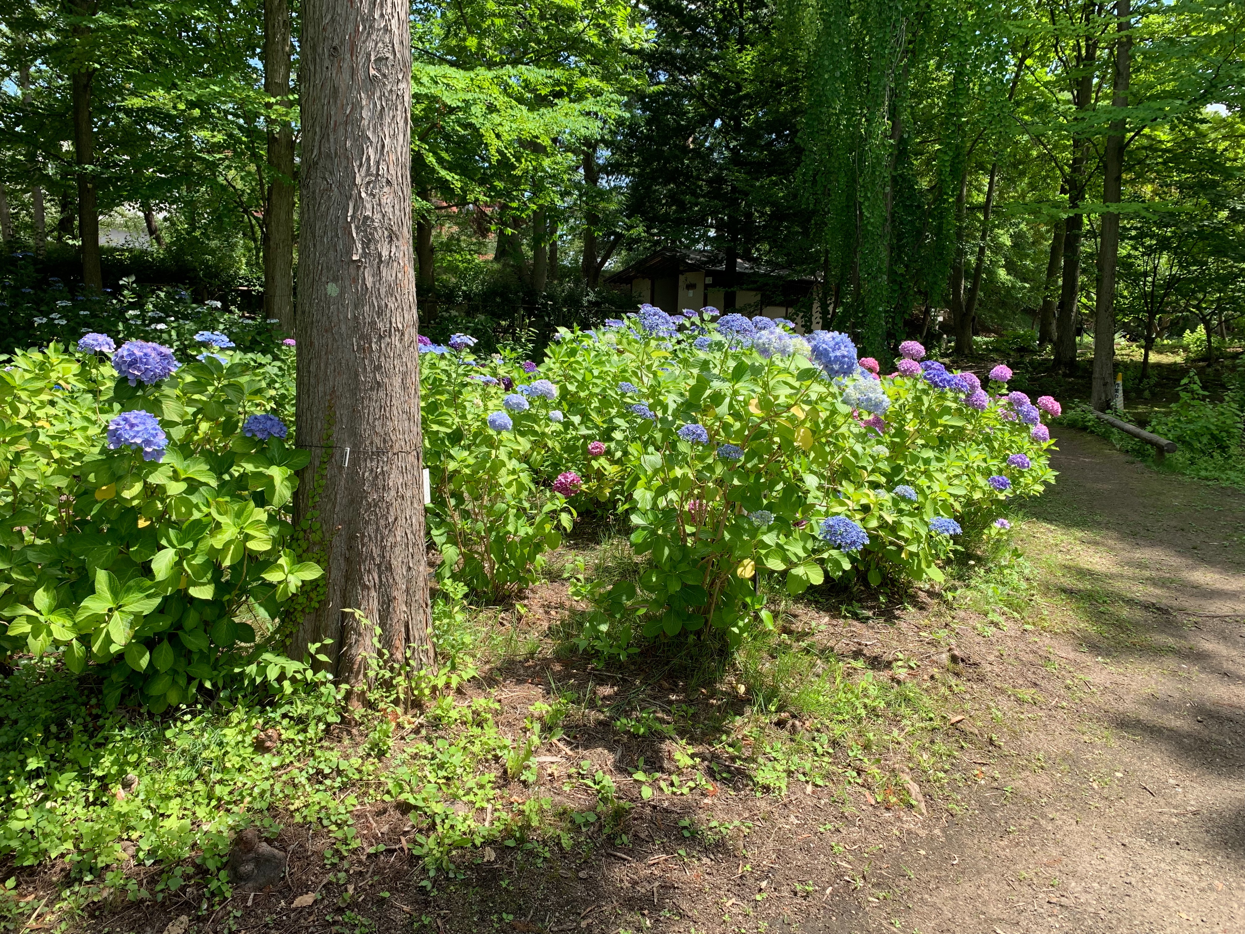 f:id:otasoooooon:20190721211230j:image f:id:otasoooooon:20190721211230j:image