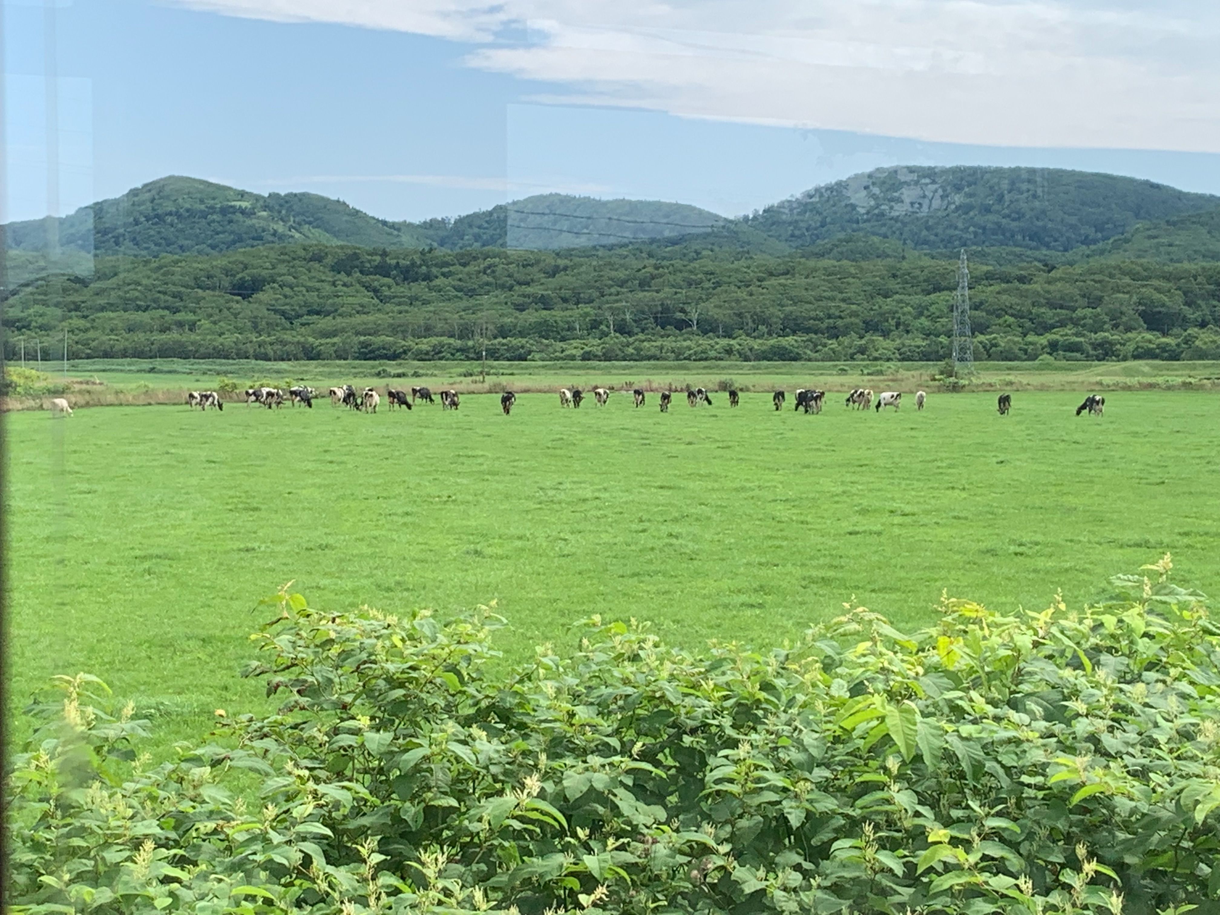 f:id:otasoooooon:20190804152526j:image