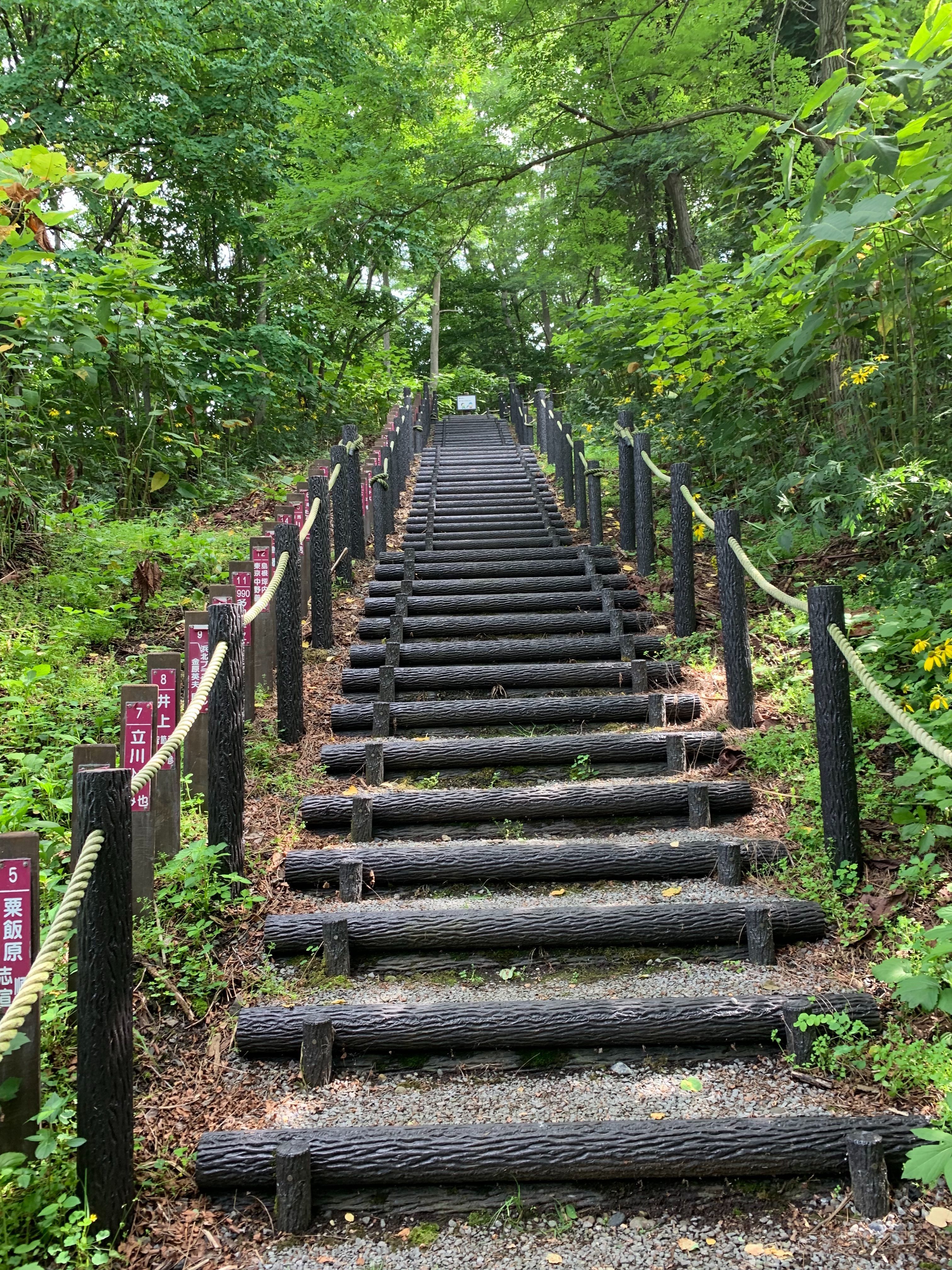 f:id:otasoooooon:20190811204007j:plain f:id:otasoooooon:20190811204007j:plain