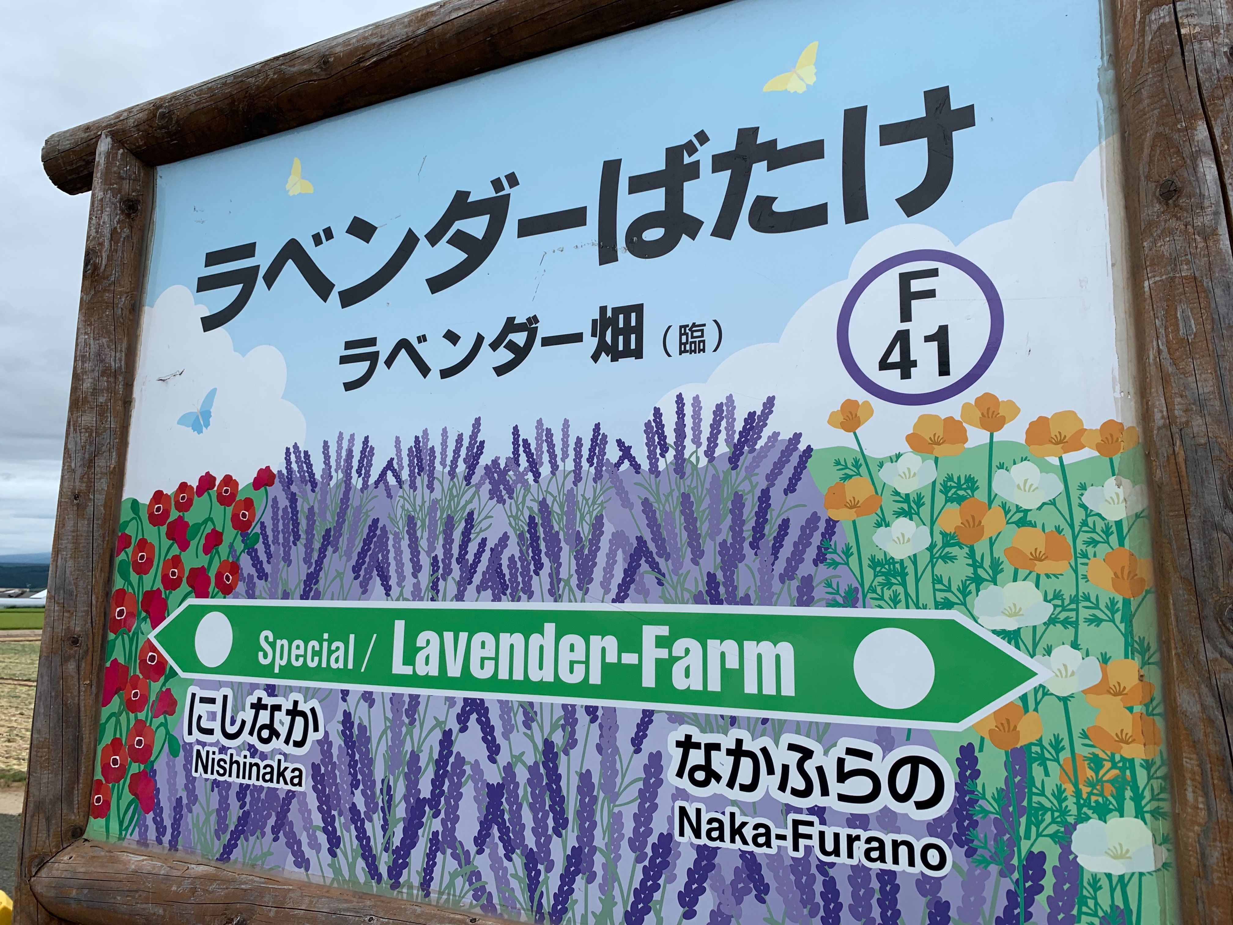 f:id:otasoooooon:20190812152549j:image f:id:otasoooooon:20190812152549j:image