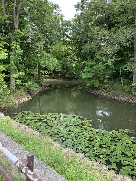 f:id:otasoooooon:20190914133220j:plain f:id:otasoooooon:20190914133220j:plain