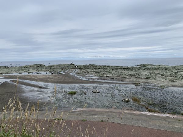 f:id:otasoooooon:20190915130629j:plain f:id:otasoooooon:20190915130629j:plain