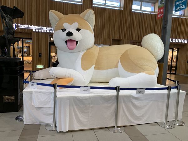 f:id:otasoooooon:20190916124403j:plain f:id:otasoooooon:20190916124403j:plain