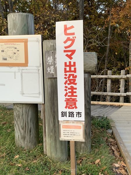f:id:otasoooooon:20191027170133j:plain f:id:otasoooooon:20191027170133j:plain