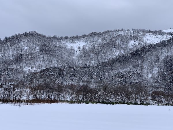 f:id:otasoooooon:20191201221444j:plain
