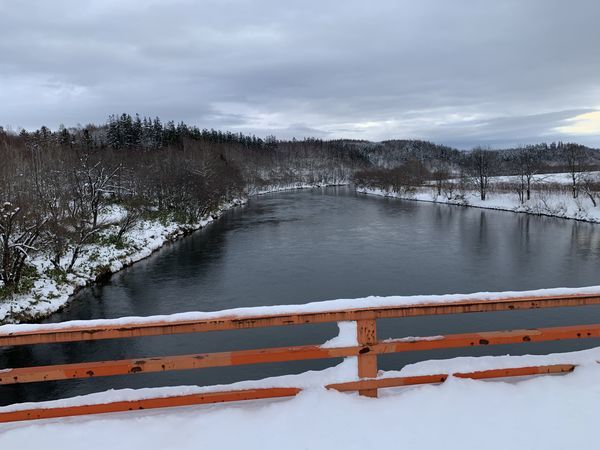 f:id:otasoooooon:20191201221548j:plain