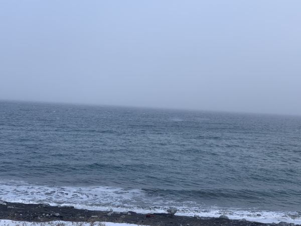f:id:otasoooooon:20210222144937j:plain