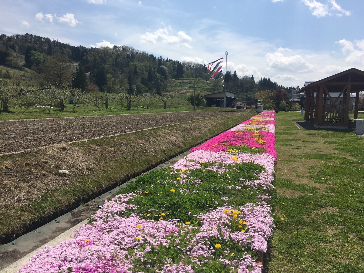 f:id:otasuke0411:20190505163731j:plain f:id:otasuke0411:20190505163731j:plain