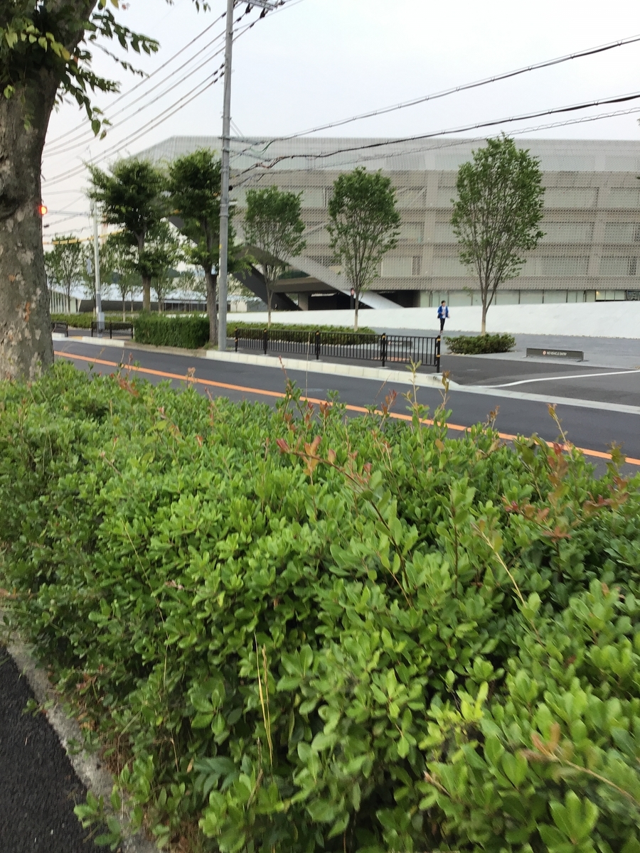 f:id:otemon-hcc2014:20190620142336j:plain f:id:otemon-hcc2014:20190620142336j:plain