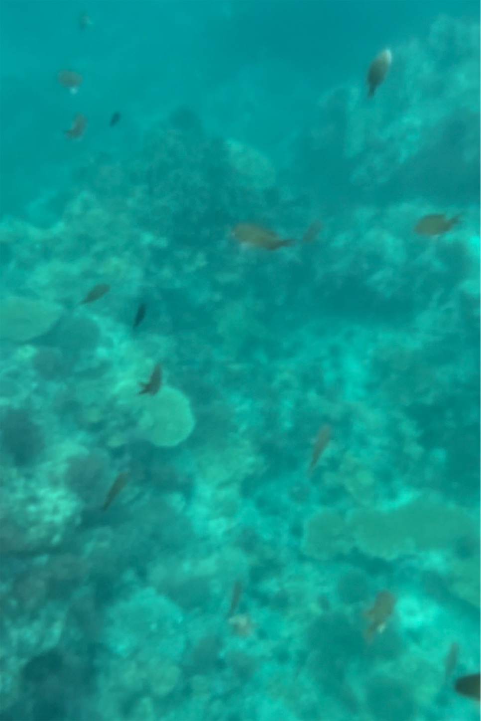 f:id:otenkihare:20231116205903j:image f:id:otenkihare:20231116205903j:image