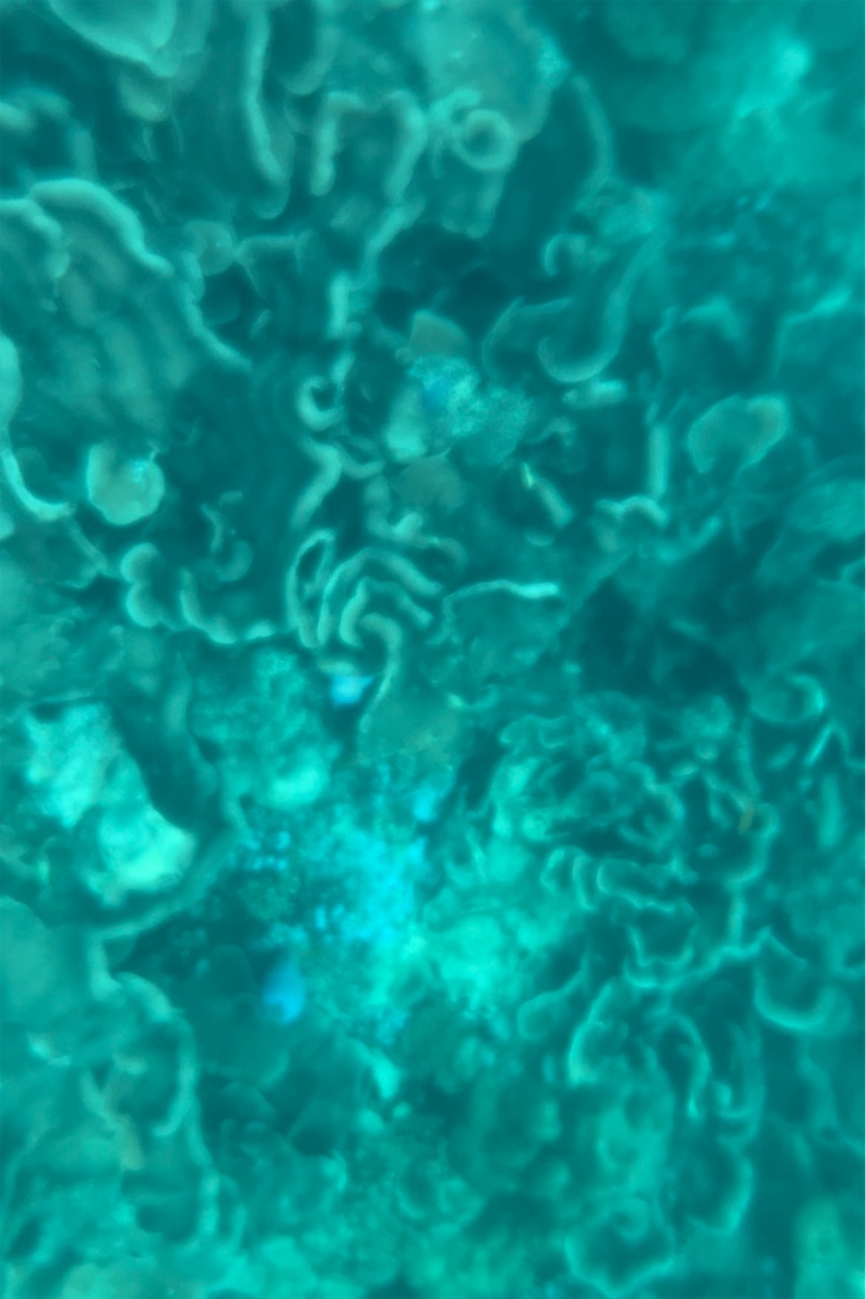f:id:otenkihare:20231116215612j:image f:id:otenkihare:20231116215612j:image
