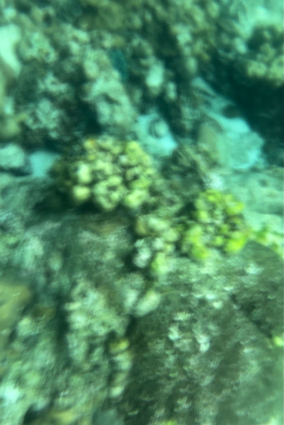 f:id:otenkihare:20231116215615j:image f:id:otenkihare:20231116215615j:image