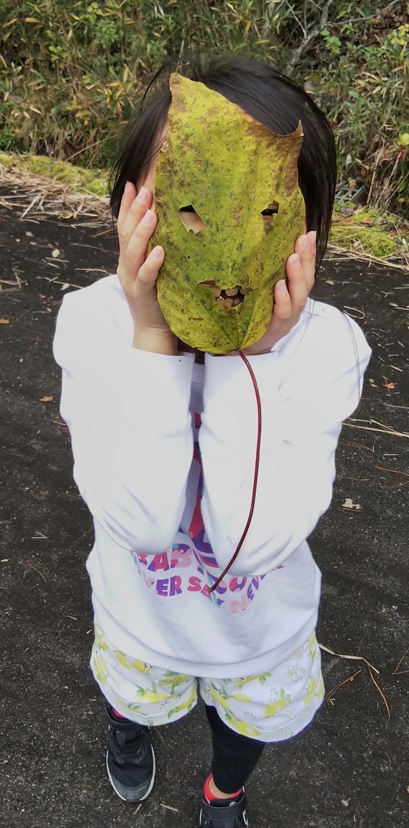 f:id:otherhalf22:20191124213641j:plain