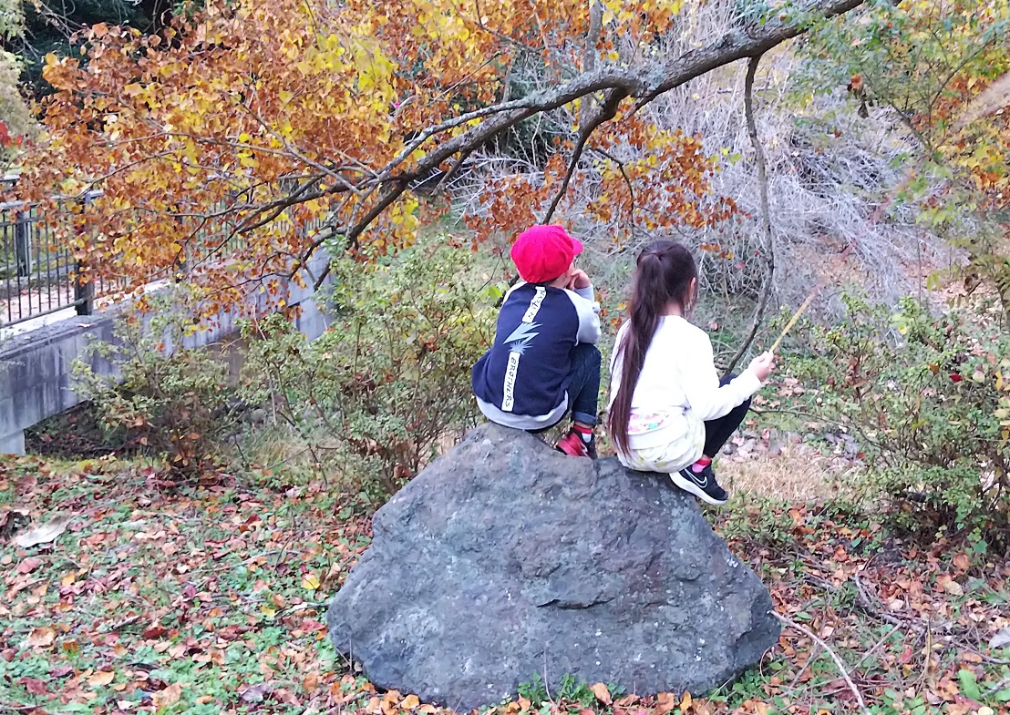 f:id:otherhalf22:20191124221217j:plain