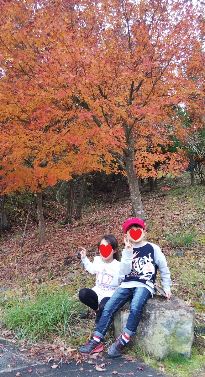 f:id:otherhalf22:20191124223109j:plain