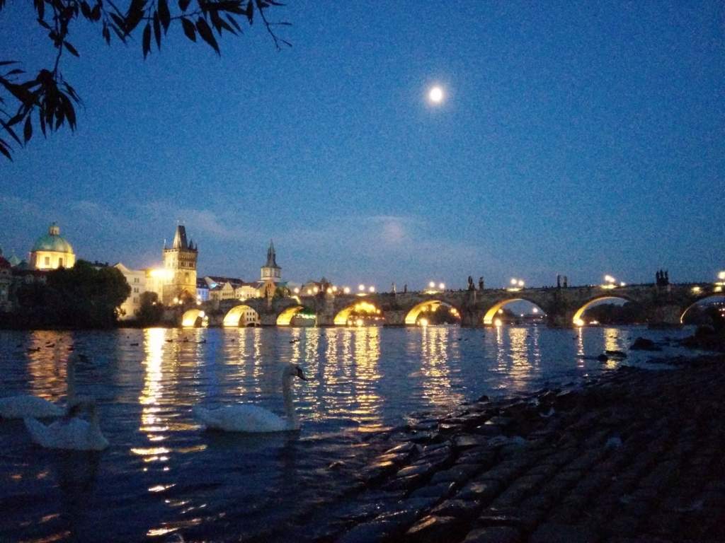 f:id:otiai10:20160716214711j:plain f:id:otiai10:20160716214711j:plain