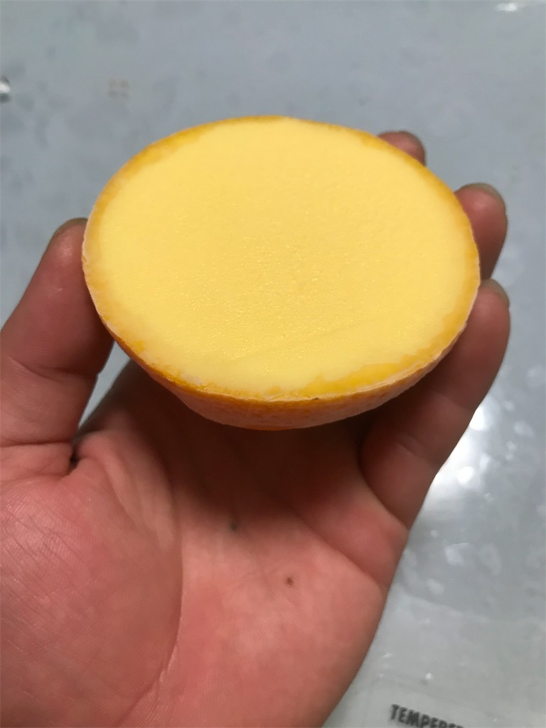 f:id:otkch:20190822213944j:image