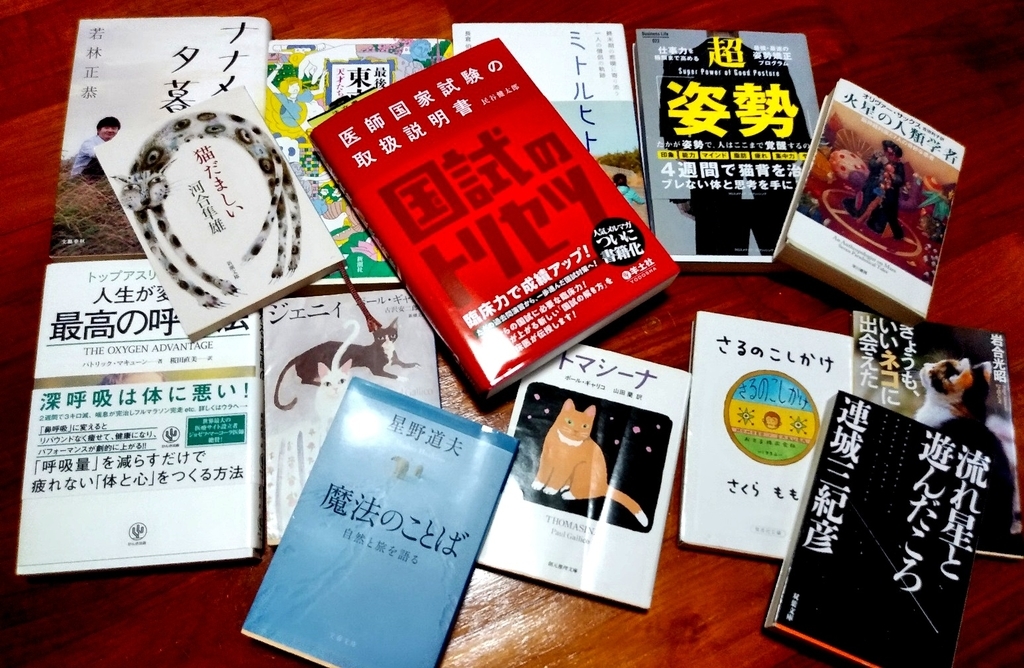 f:id:otnika301-703:20181126070554j:plain