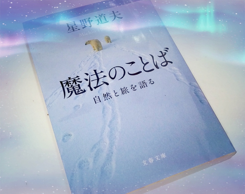f:id:otnika301-703:20190112181137j:plain