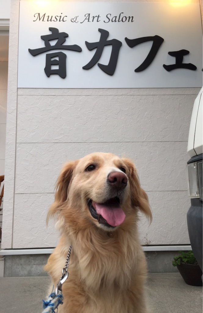 f:id:oto-cafe:20160814191130j:image f:id:oto-cafe:20160814191130j:image
