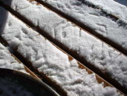 f:id:otobokecat:20081226213747j:image