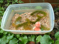 f:id:otobokecat:20090924212752j:image