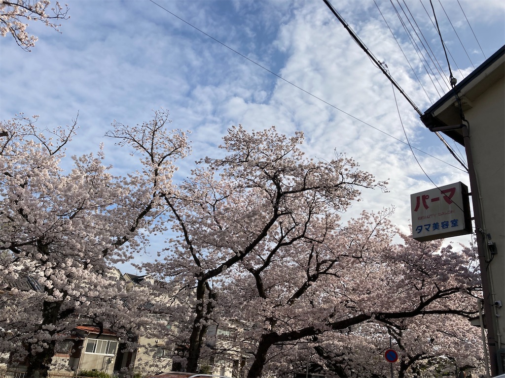 f:id:otobokema-ko:20240411213502j:image