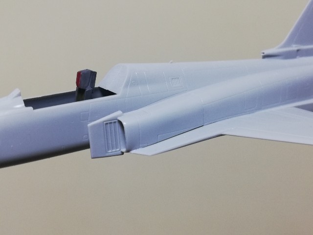 大滝　タイガーシャーク F-20_028.jpg