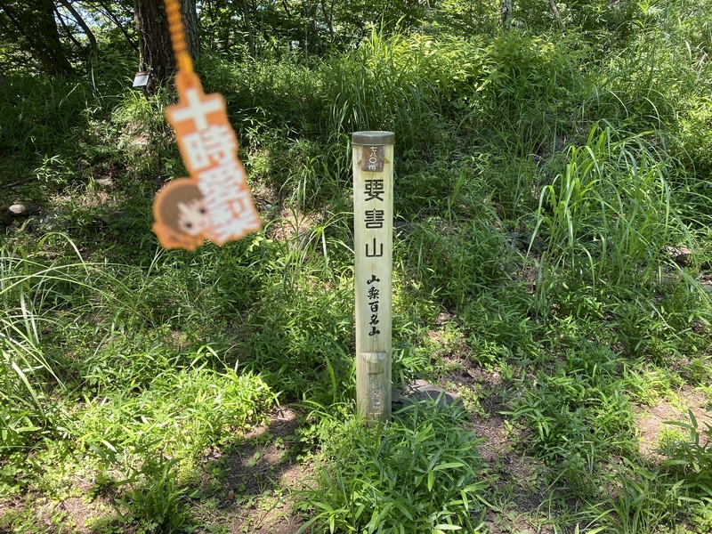 f:id:otoha_ara4:20210718222749j:plain