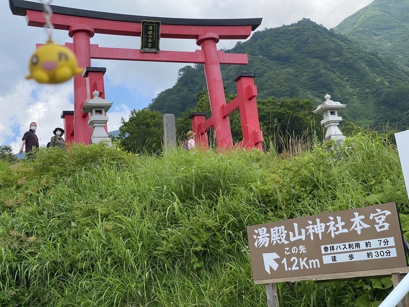 f:id:otoha_ara4:20210724211115j:plain