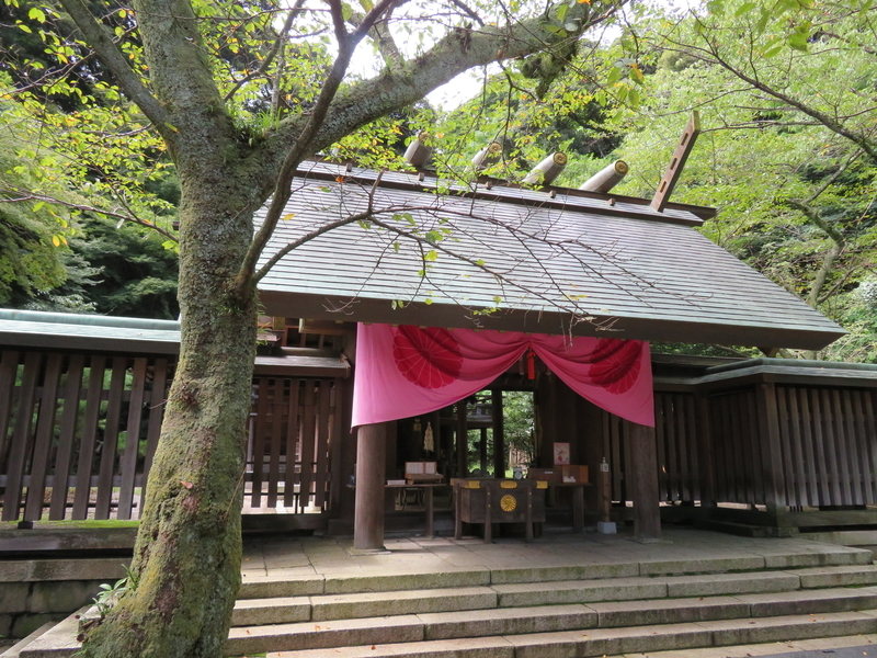f:id:otoha_ara4:20210910200045j:plain