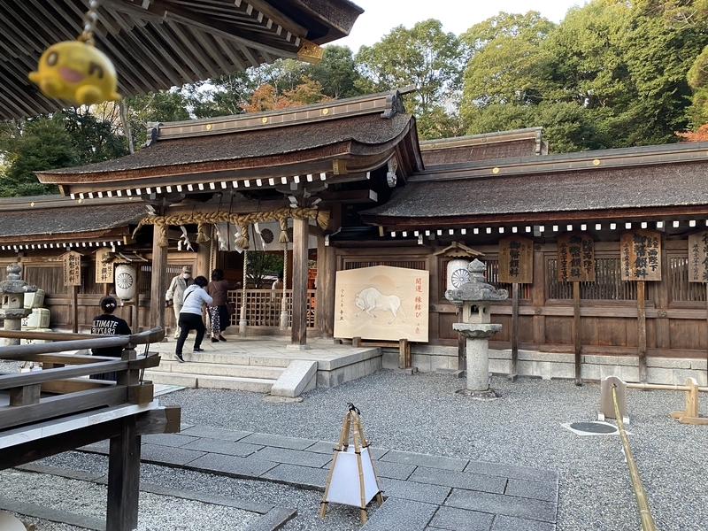 f:id:otoha_ara4:20211124002604j:plain