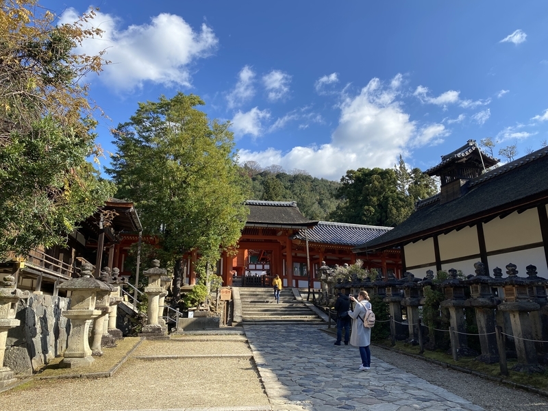 f:id:otoha_ara4:20211206234136j:plain