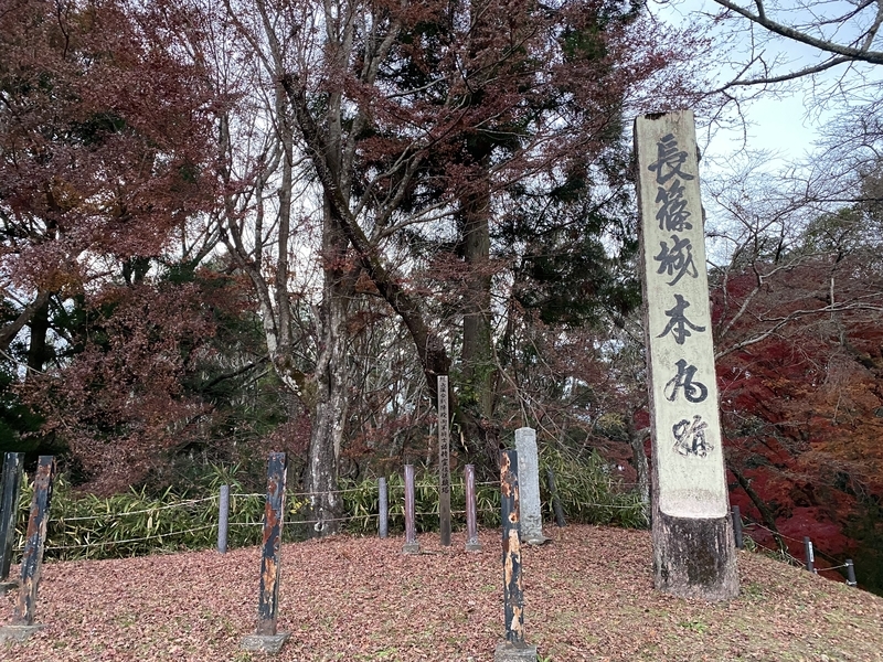 f:id:otoha_ara4:20211214235905j:plain