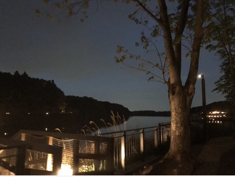 f:id:otohana:20190530214114j:plain f:id:otohana:20190530214114j:plain