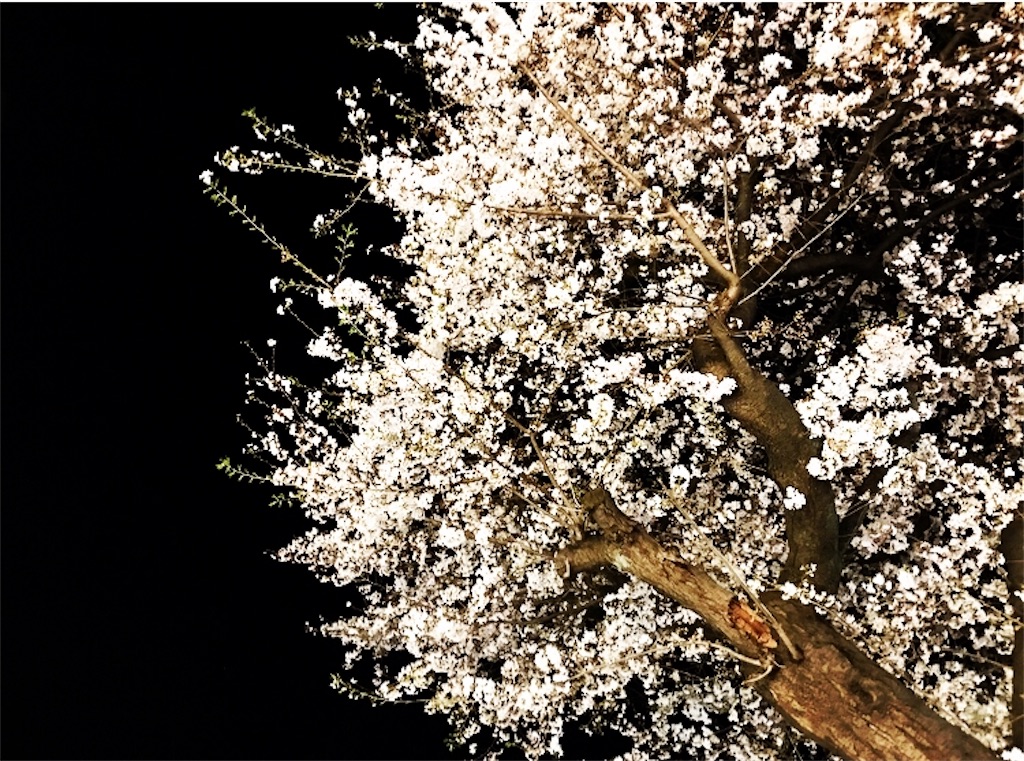 f:id:otohana:20200327173045j:image f:id:otohana:20200327173045j:image
