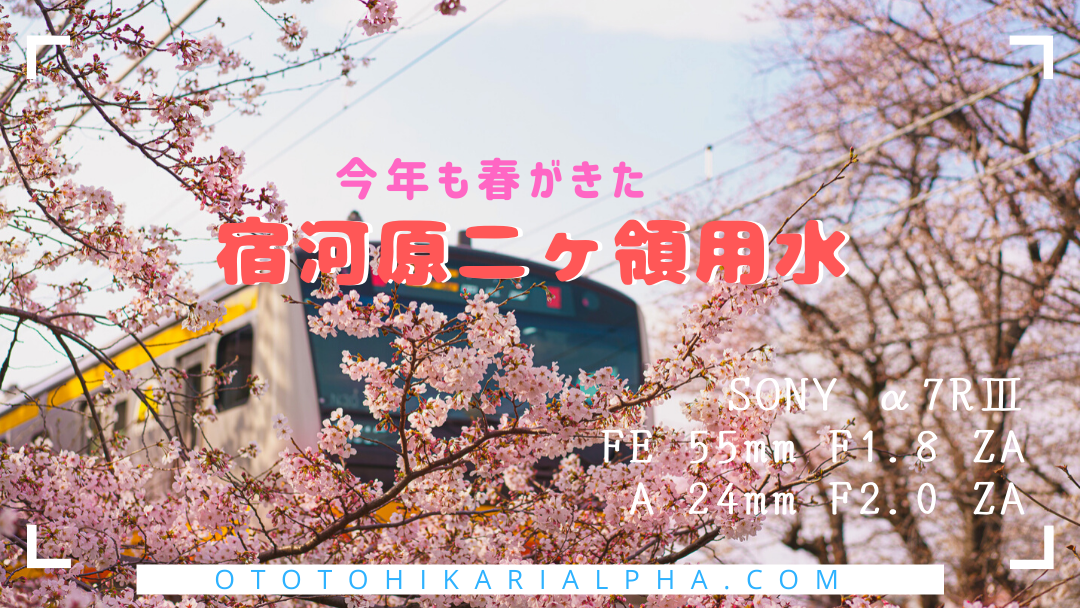 f:id:otohikarialpha:20200329145511p:plain f:id:otohikarialpha:20200329145511p:plain