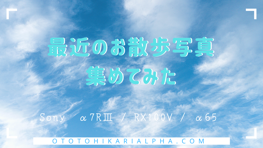 f:id:otohikarialpha:20200728224452p:plain f:id:otohikarialpha:20200728224452p:plain