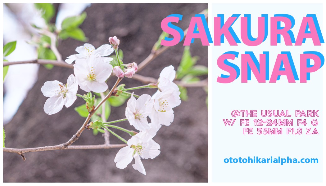f:id:otohikarialpha:20210405190209j:image f:id:otohikarialpha:20210405190209j:image
