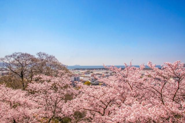 f:id:otoko627:20210326201220j:plain