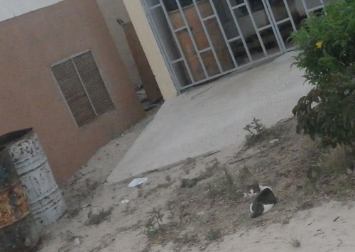 f:id:otokomaeno:20111030185105j:image