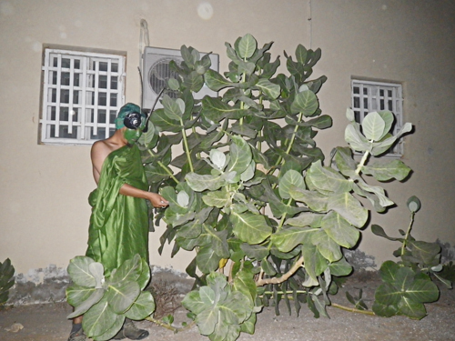 f:id:otokomaeno:20111030191822j:image