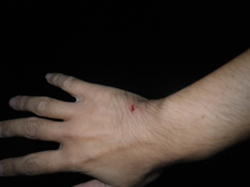 f:id:otokomaeno:20111030191908j:image