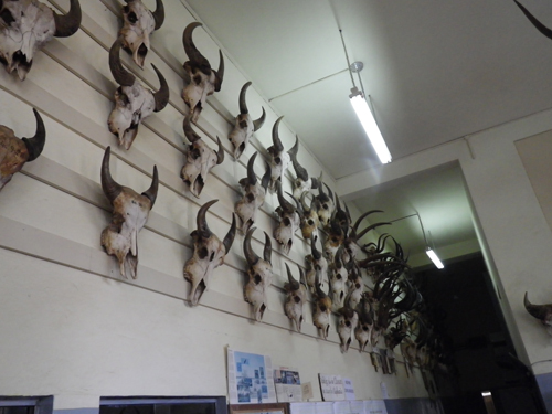 f:id:otokomaeno:20111111120051j:image