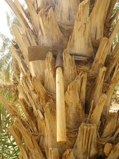 f:id:otokomaeno:20111211113738j:image f:id:otokomaeno:20111211113738j:image