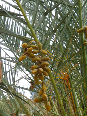 f:id:otokomaeno:20111226104446j:image f:id:otokomaeno:20111226104446j:image