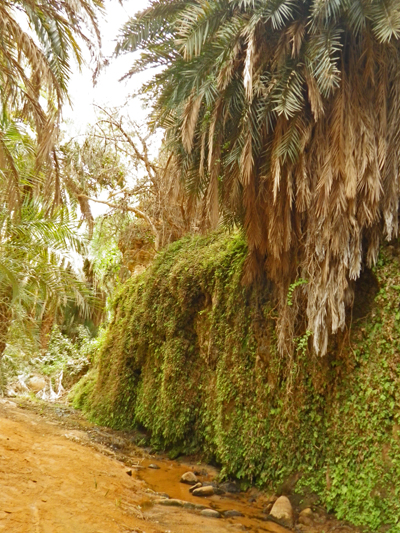 f:id:otokomaeno:20111226132550j:image f:id:otokomaeno:20111226132550j:image