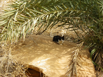 f:id:otokomaeno:20111226134014j:image f:id:otokomaeno:20111226134014j:image