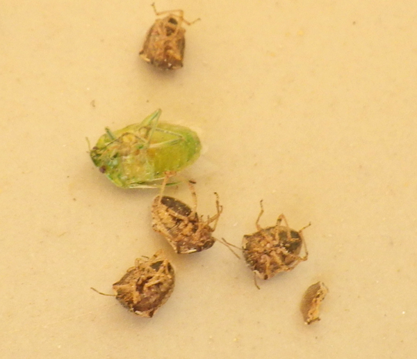 f:id:otokomaeno:20121026140757j:image f:id:otokomaeno:20121026140757j:image
