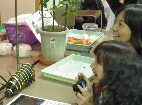 f:id:otokomaeno:20121117083609j:image